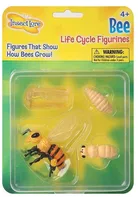 Insect Lore Životní cyklus včela