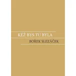 Kéž bys tu byla - Bořek Slezáček (2022)…