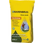 Barenbrug Watersaver 10018B