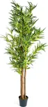 Plantasia Bambus vysoký 160 cm