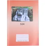 Vikpap group A5/524 20 listů linkovaný…