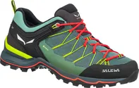 Salewa Mountain Trainer Lite GTX modrá/zelená