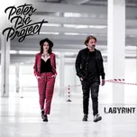 Labyrint - Peter Bič Project [CD]