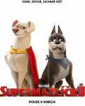 DC Liga supermazlíčků DVD (2022)