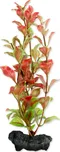 Rostlina Red Ludwigia Plus 15 cm 1 ks