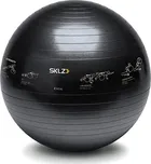 SKLZ Trainer Ball 65 cm černý