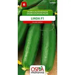 Osiva Moravia Linda F1 okurka salátová…