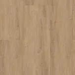 BRASED Longline Click LILO363215 20,87…