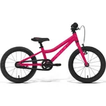 Amulet Mini Lite 16" 2022