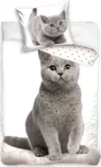 TipTrade Kočka a koťátko 140 x 200, 70…