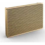 Bang & Olufsen Beosound Level