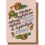 Chaukiss Všechno nejlepší mé…