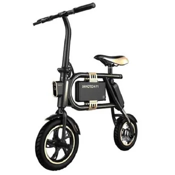 elektrokolo Inmotion P1F