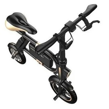 elektrokolo Inmotion P1F