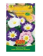 Hobby Garden Svlačec trojbarevný pnoucí mix cca 90 ks