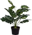 Plantasia Monstera 60 cm