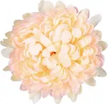 Nohel Garden Chryzantéma květ 13 cm