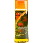 tianDe Regenerační šampon s kořenem…