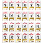 Royal Canin Veterinary Diet Feline…