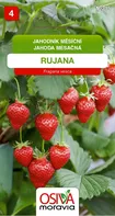 Osiva Moravia Rujana jahodník měsíční 0,2 g
