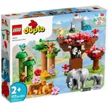 LEGO Duplo 10974 Divoká zvířata Asie
