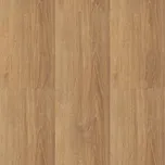 Brased Aquafix Click 9555 dub Bush