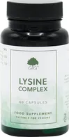 G&G Vitamins Lysine Complex 60 cps.