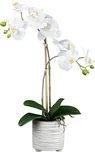 Gasper 1123081-40 orchidej v keramickém…