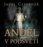 Anděl v podsvětí - Juraj Červenák (čte…