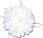 Nohel Garden Chryzantéma květ 14 cm bílá