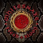 Flesh & Blood - Whitesnake [CD]