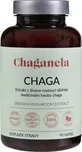 Chaganela Extrakt ze sibiřské čagy 450…