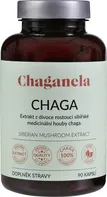 Chaganela Extrakt ze sibiřské čagy 450 mg