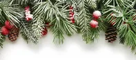 Weblux Christmas Tree Branches Background 100 x 73 cm