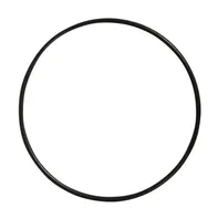 Rayher Hobby Drátěný kruh na lapač snů 25 cm černý