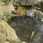 vidaXL 318303 ochranná jezírková mřížka…