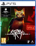 Stray PS5