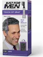 Just For Men Touch of Gray 40 g