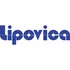 Lipovica