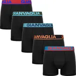 Gianvaglia GVG-5010 5 ks