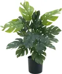 EuroPalms Filodendron 38 cm
