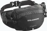 Salomon Trailblazer Belt 4 l Black/Alloy