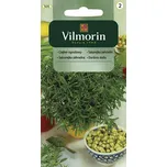 Vilmorin Saturejka zahradní 1 g