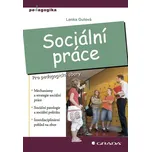 Sociální práce - Lenka Gulová (2017)…