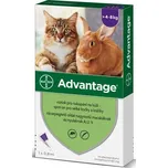 Bayer Advantage Spot On pro kočky 80 mg