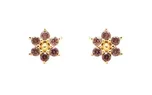 PD Paola Rose Peony AR01-284-U