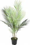 Vert Espace Areca palma 70 cm
