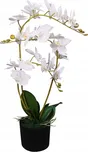 Orchidej s květináčem 65 cm bílá