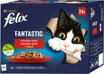 Felix Fantastic masový výběr v želé 24…