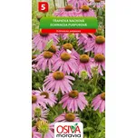 Osiva Moravia Třapatka nachová 0,5 g